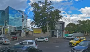 Фотография Green shark 2